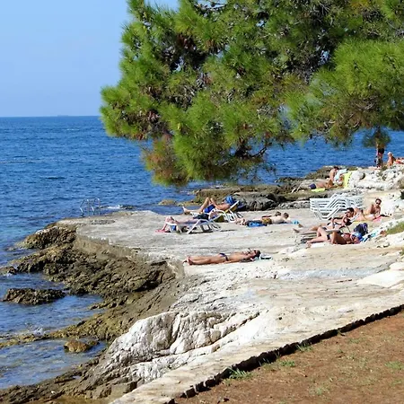 With Parking Space - 7154 アパート