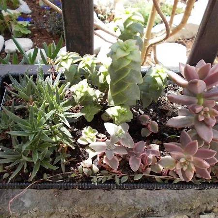 With Parking Space - 7154 Apartament *