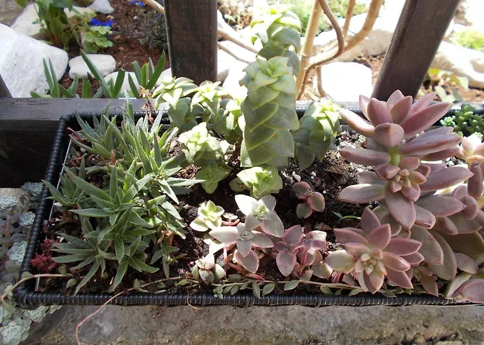 With Parking Space - 7154 Lejlighed *